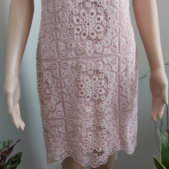 Jack by BB Dakota sheath dress pink lace sleeveless mauve rose cottagecore - Picture 6 of 16